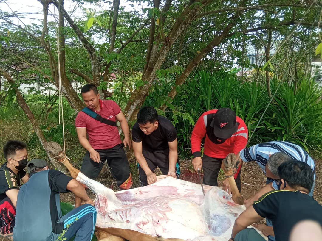 WhatsApp Image 2021 07 25 at 07.47.22